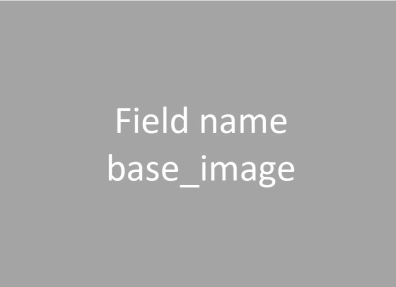 This is the "name" field